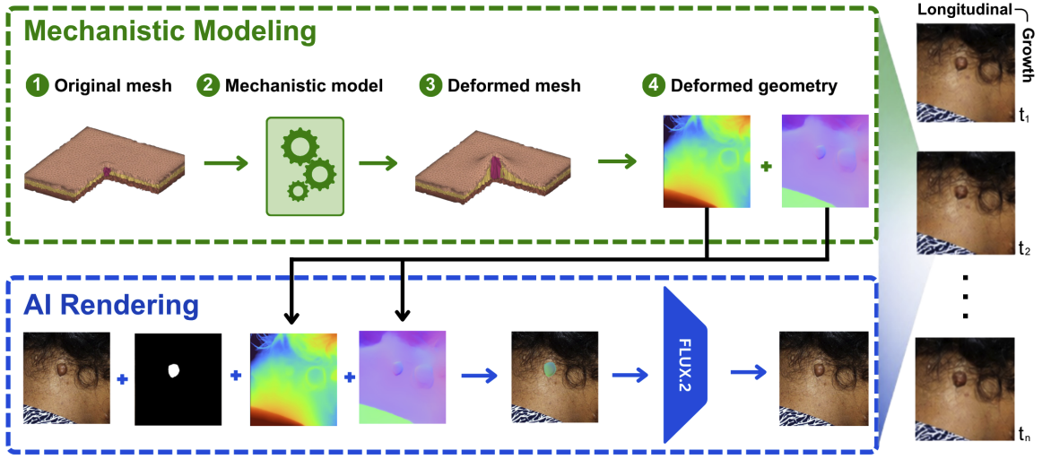Mechanistic modeling and AI rendering workflow for longitudinal cutaneous neurofibroma imaging