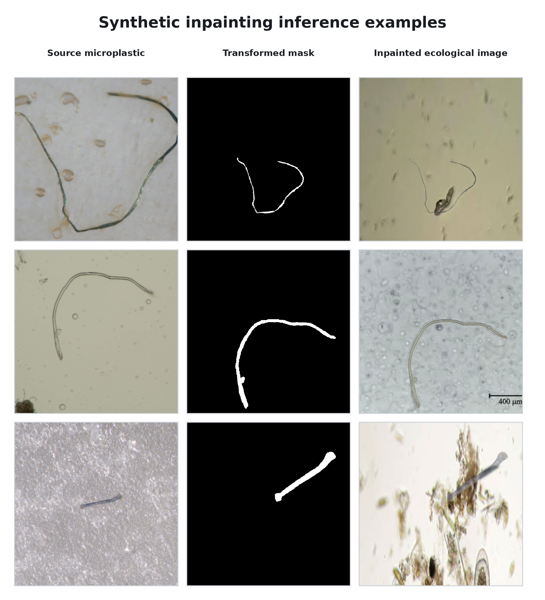 Microplastic source images, masks, and synthetic ecological examples