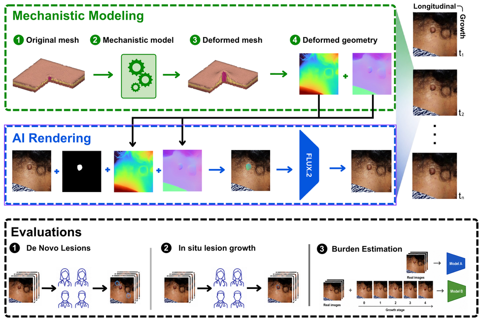 Mechanistic modeling, AI rendering, reader-study evaluation, and volume-regression evaluation